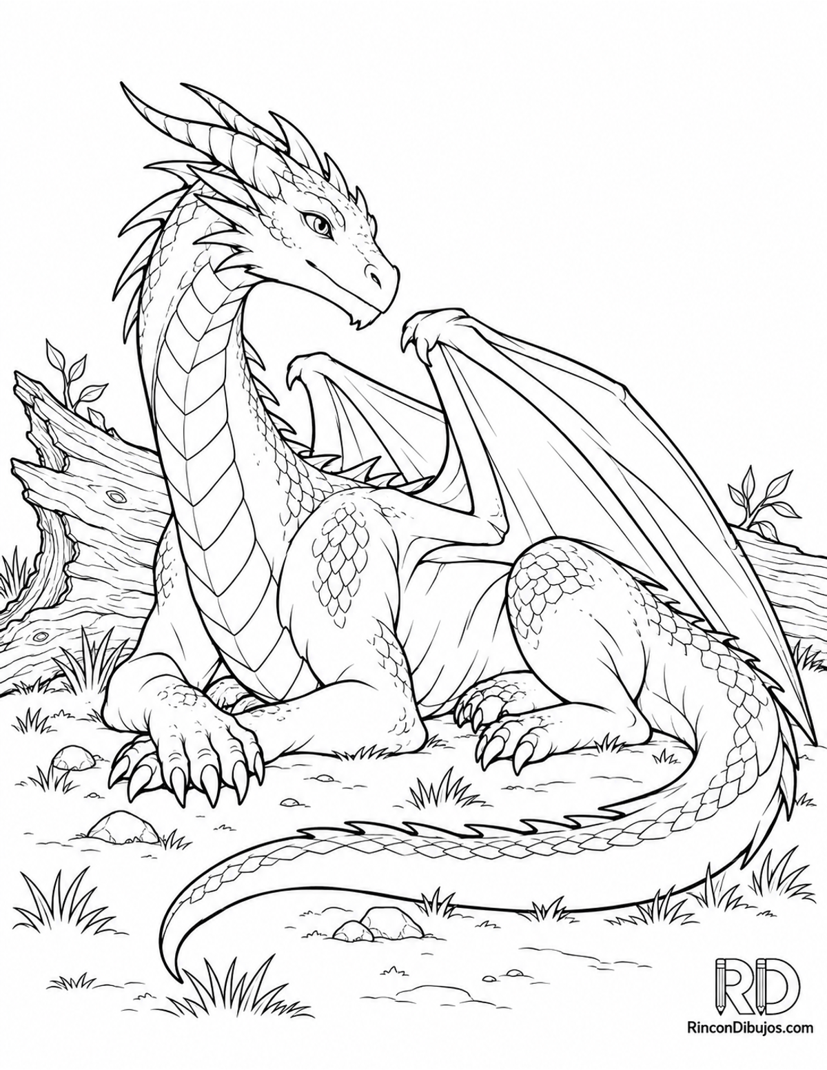 Dibujo de dragón alado descansando para colorear Dibujo de dragón alado descansando para colorear