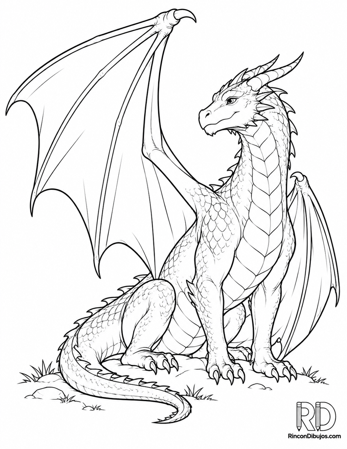 Dibujo de dragón alado estirando para colorear Dibujo de dragón alado estirando para colorear