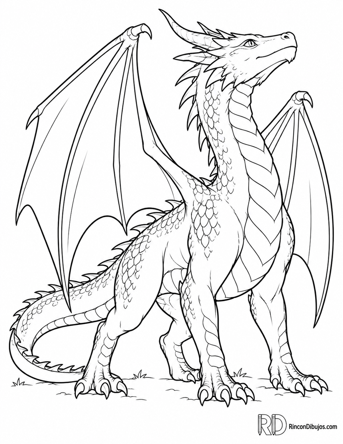 Dibujo de dragón alado fácil para colorear Dibujo de dragón alado fácil para colorear