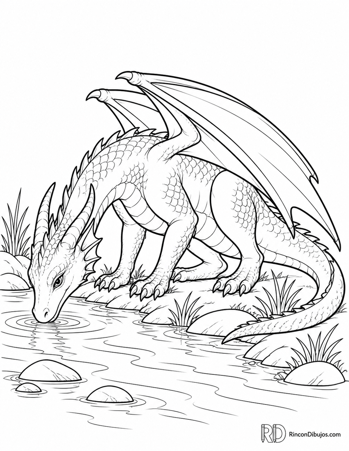 Dibujo de dragón alado joven para colorear Dibujo de dragón alado joven para colorear