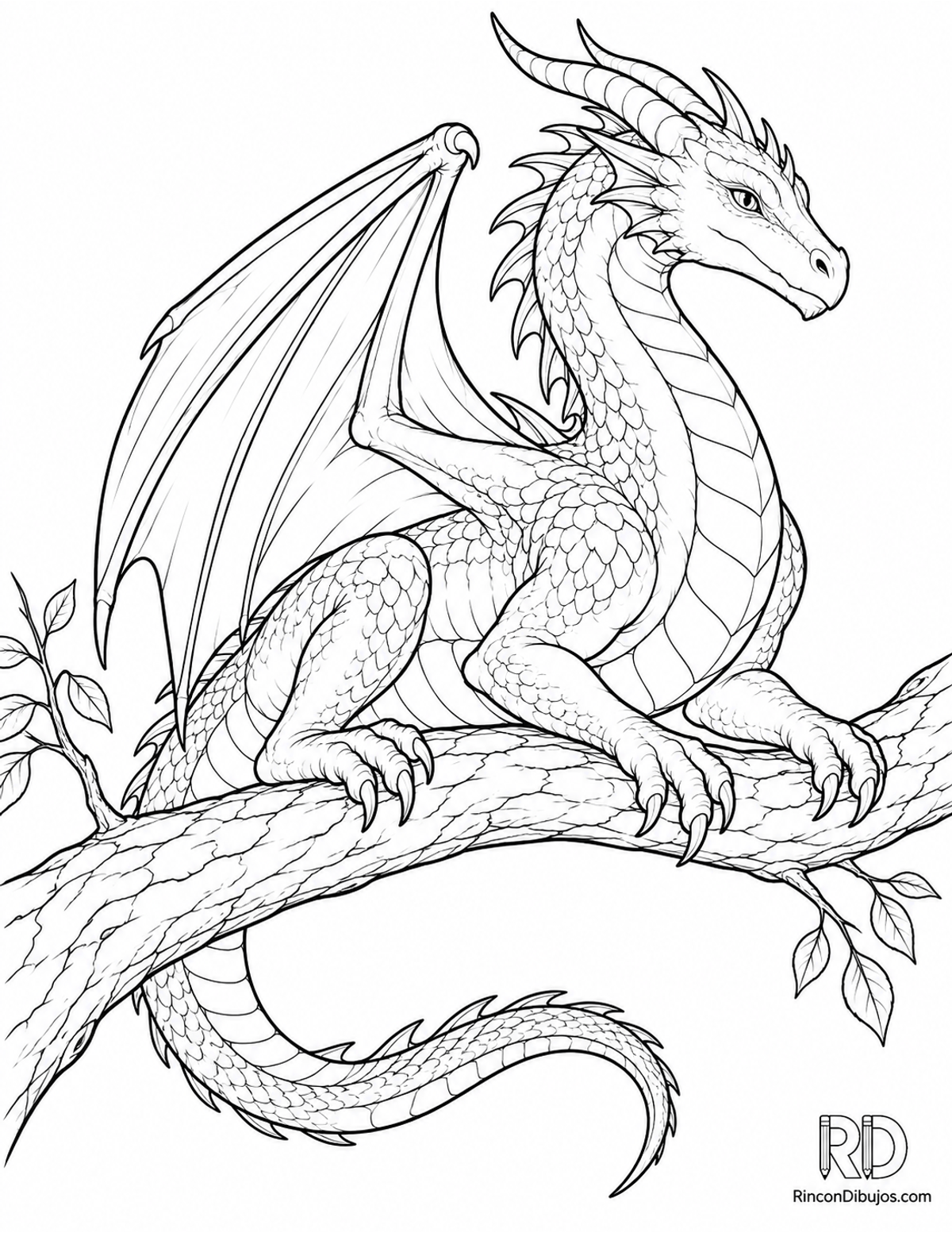 Dibujo de dragón alado reposando para colorear Dibujo de dragón alado reposando para colorear