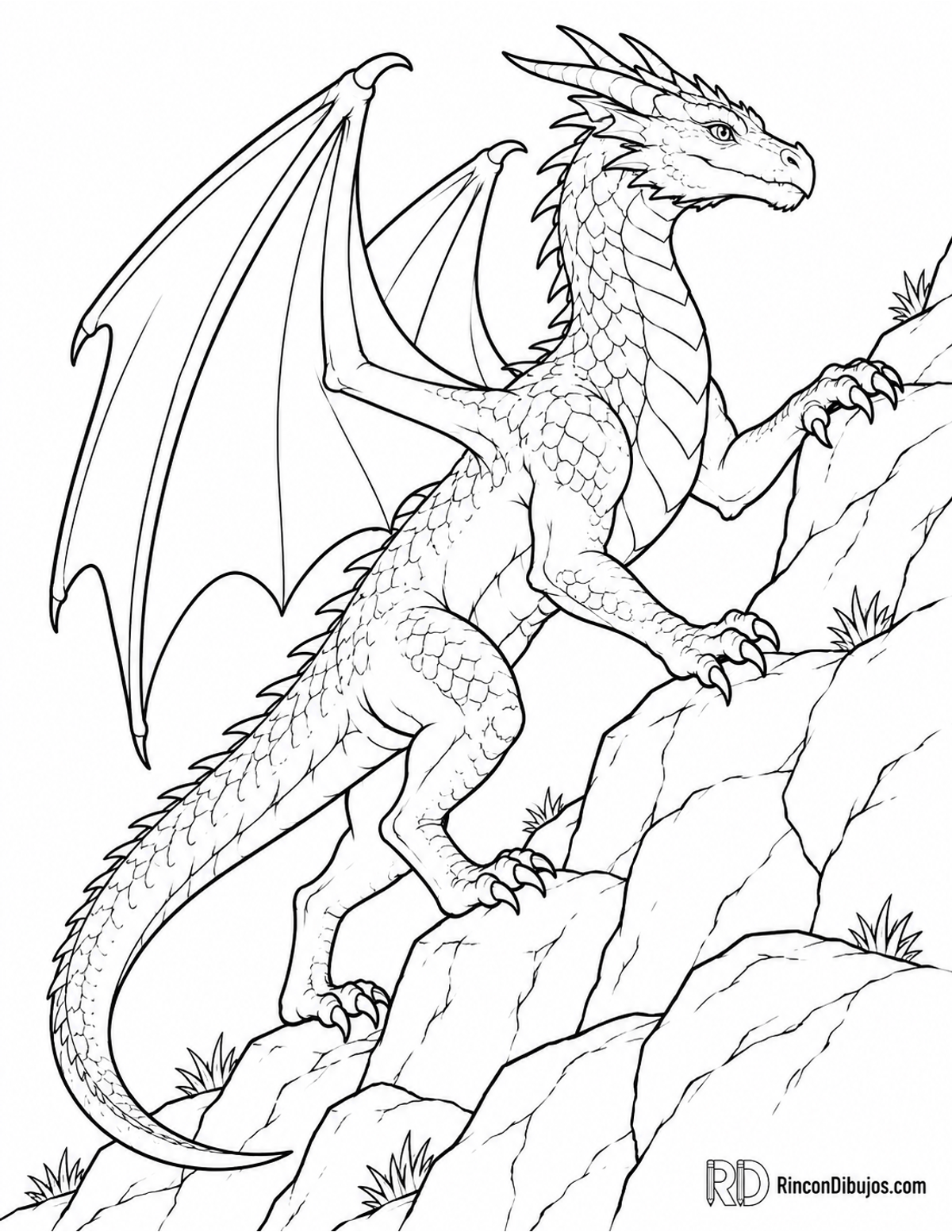 Dibujo de dragón alado trepando para colorear Dibujo de dragón alado trepando para colorear