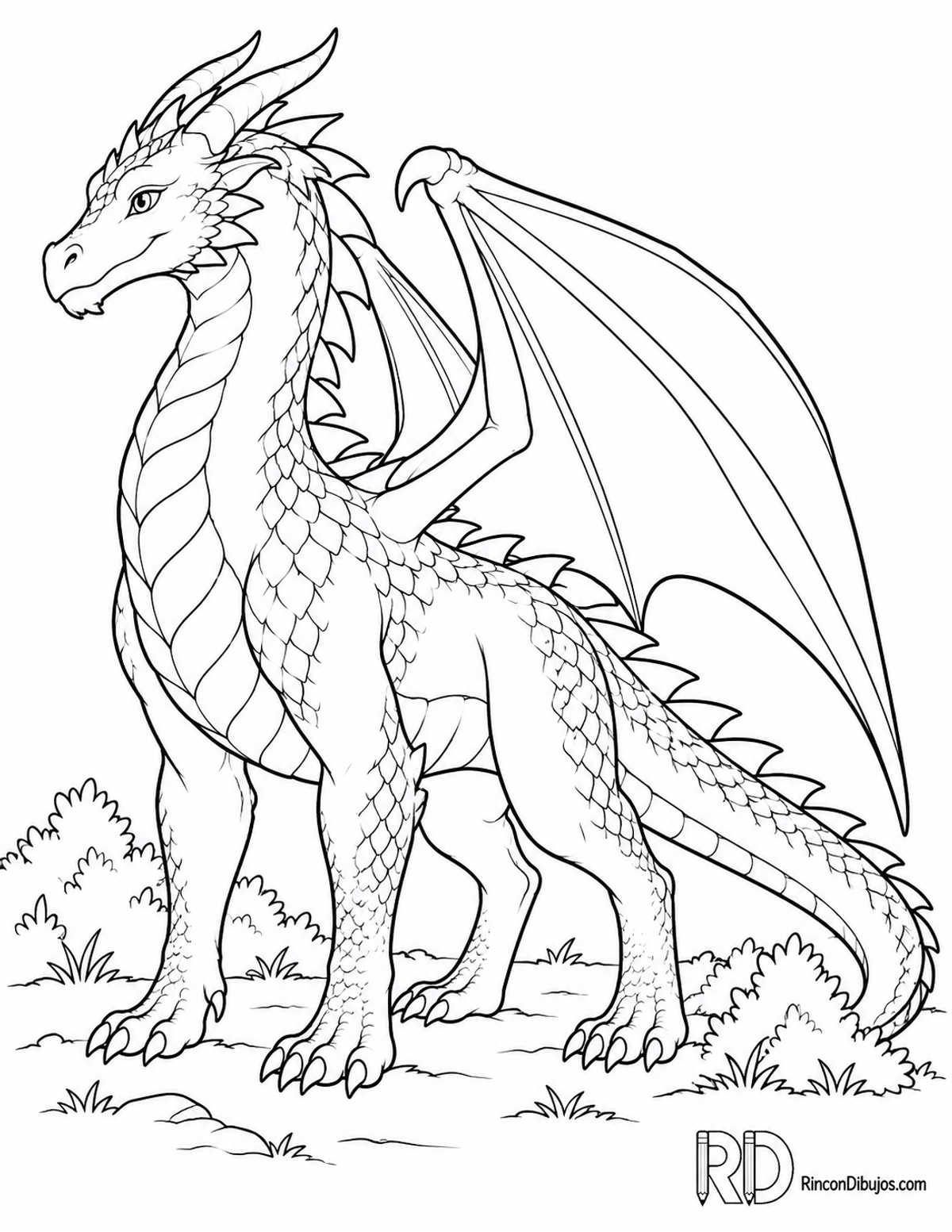 Dibujo de dragón con alas para colorear Dibujo de dragón con alas para colorear