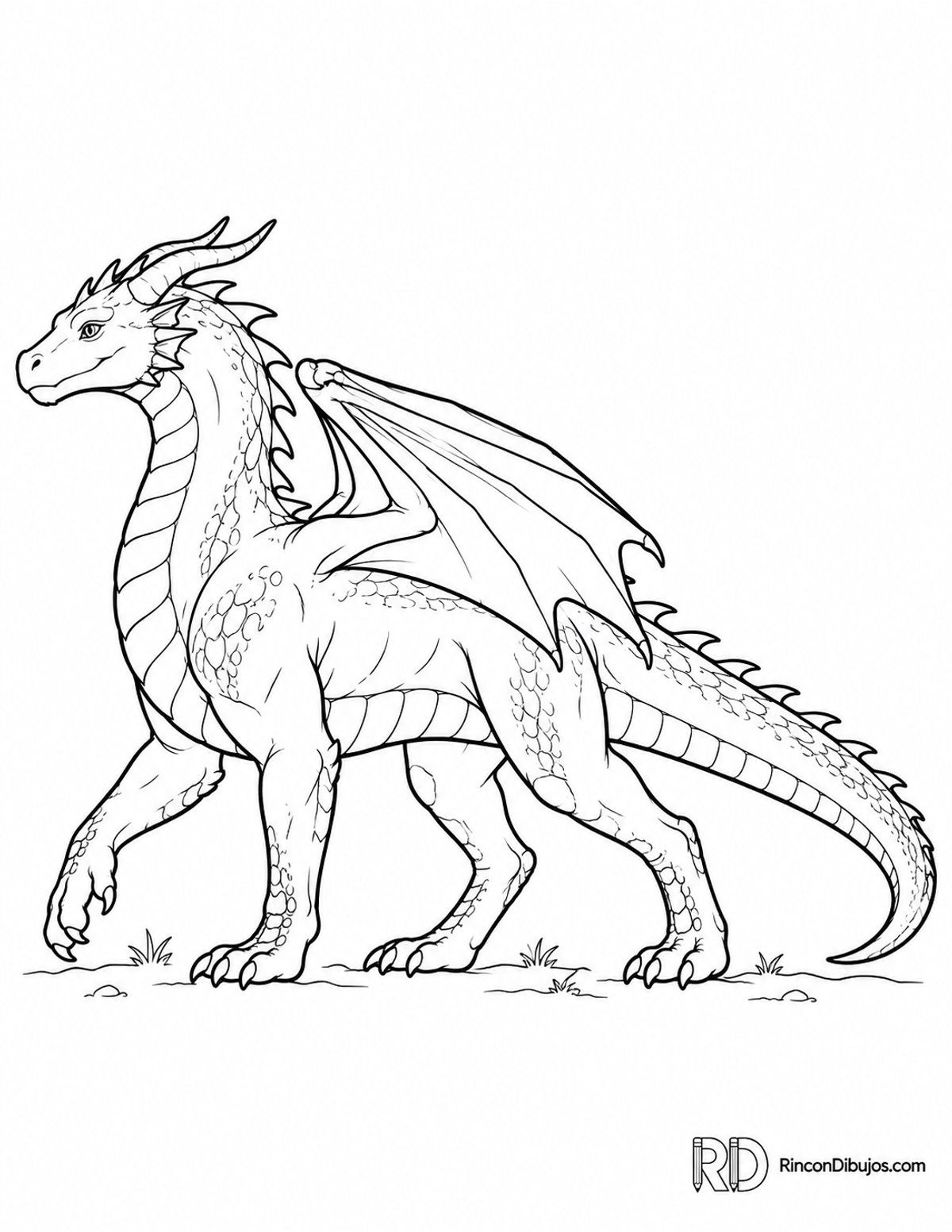 Dibujo de dragón volador para colorear Dibujo de dragón volador para colorear