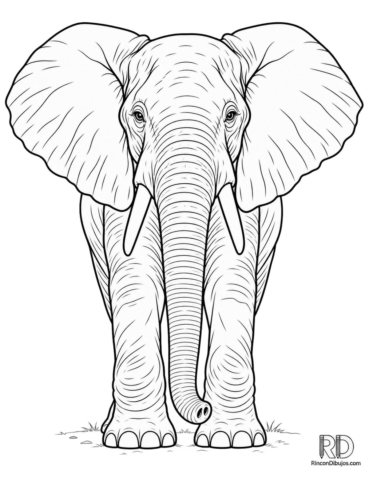 Dibujo de elefante africano frontal para colorear Dibujo de elefante africano frontal para colorear