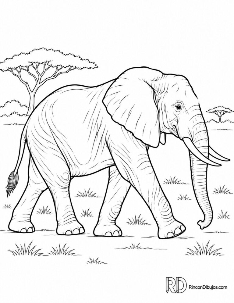 Dibujos de Elefantes para Colorear