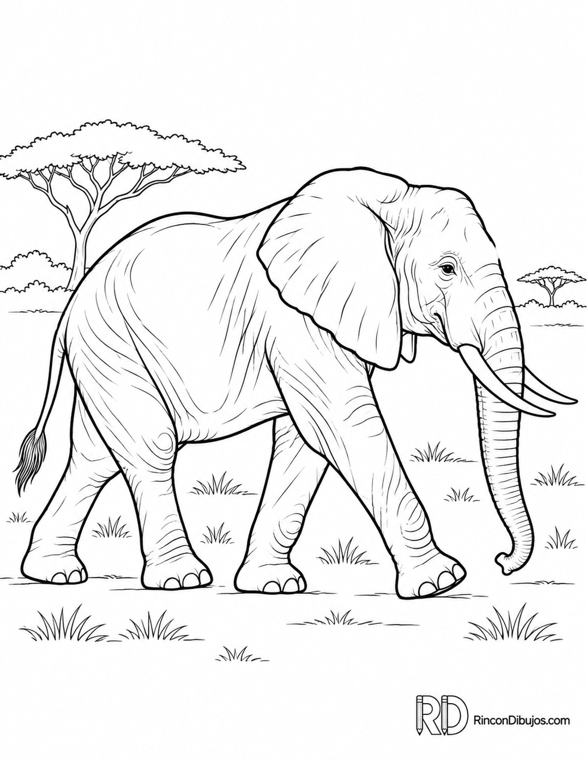 Dibujo de elefante africano para colorear Dibujo de elefante africano para colorear