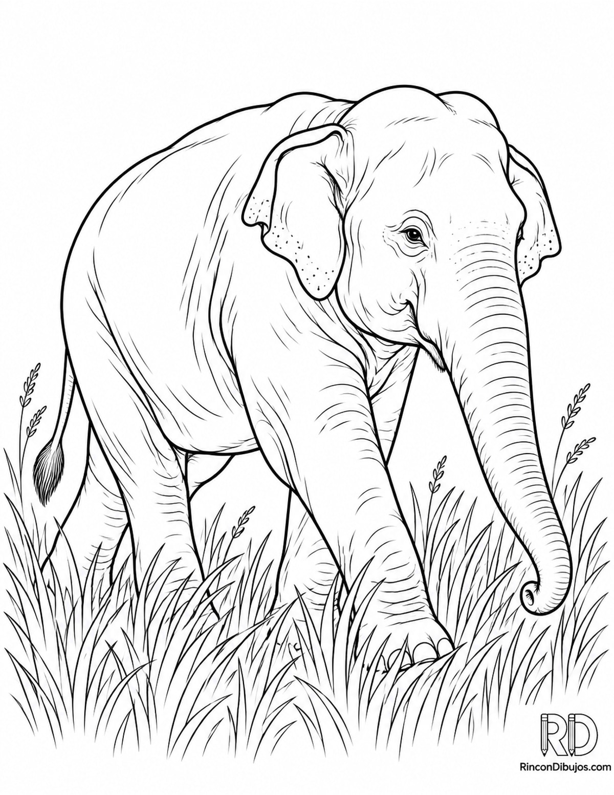 Dibujo de elefante asiático caminando para colorear Dibujo de elefante asiático caminando para colorear