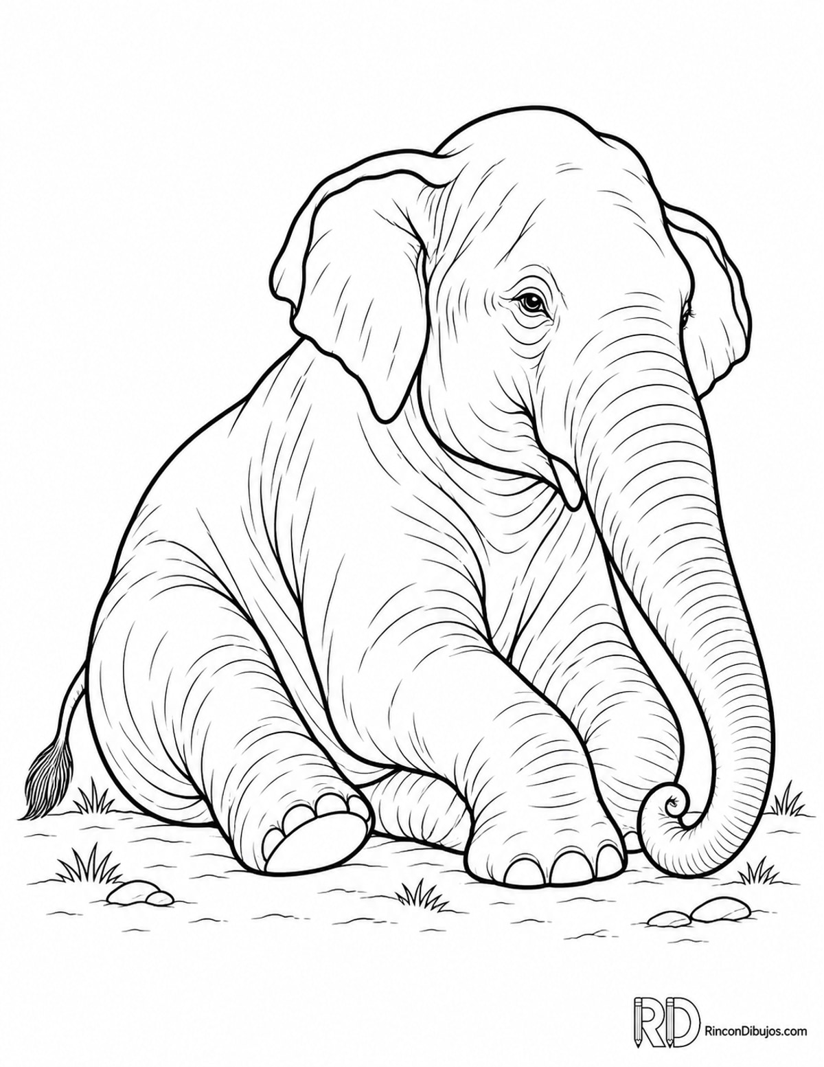 Dibujo de elefante asiático sentado para colorear Dibujo de elefante asiático sentado para colorear