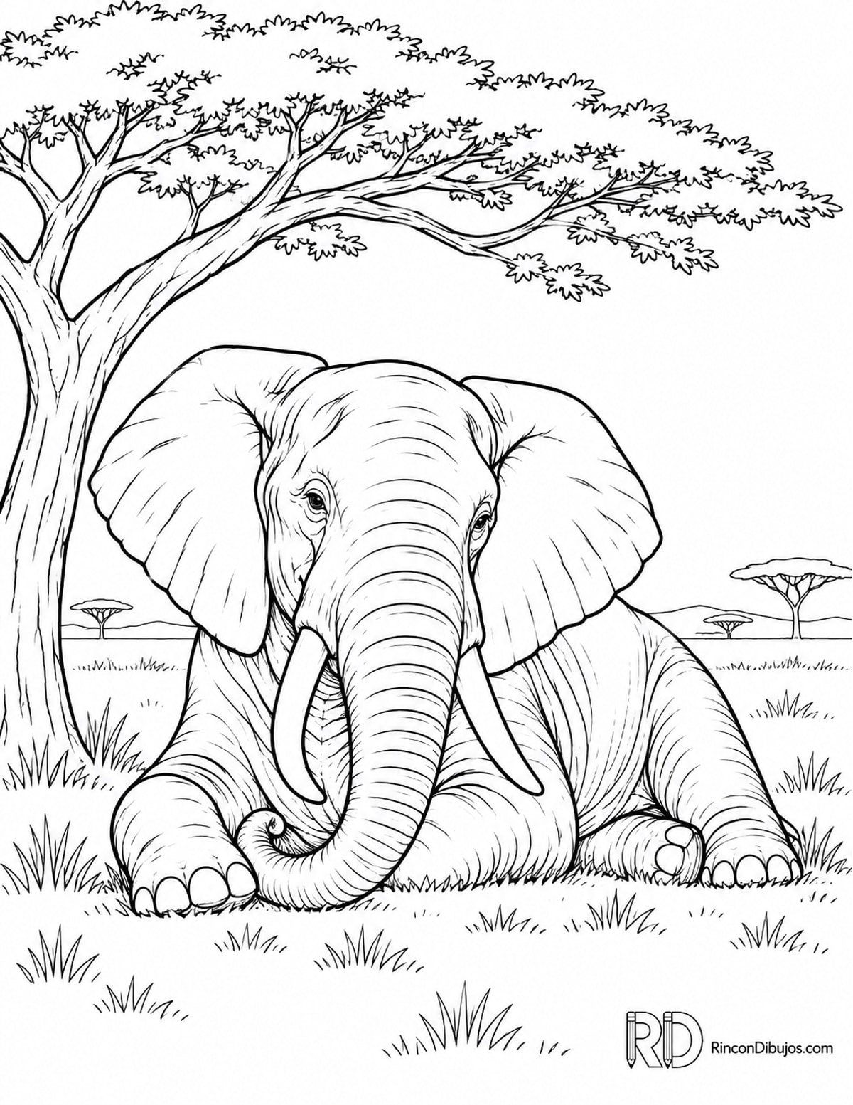 Dibujo de elefante bajo acacia para colorear Dibujo de elefante bajo acacia para colorear