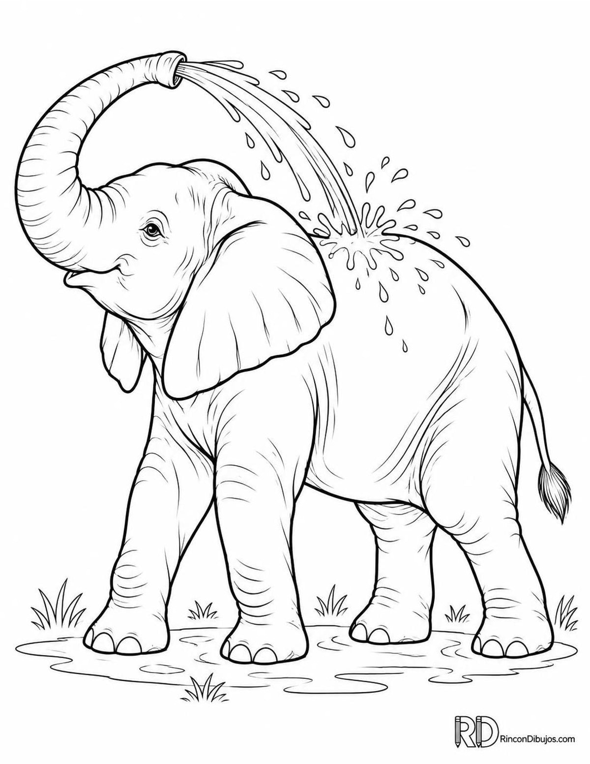 Dibujo de elefante bañándose para colorear