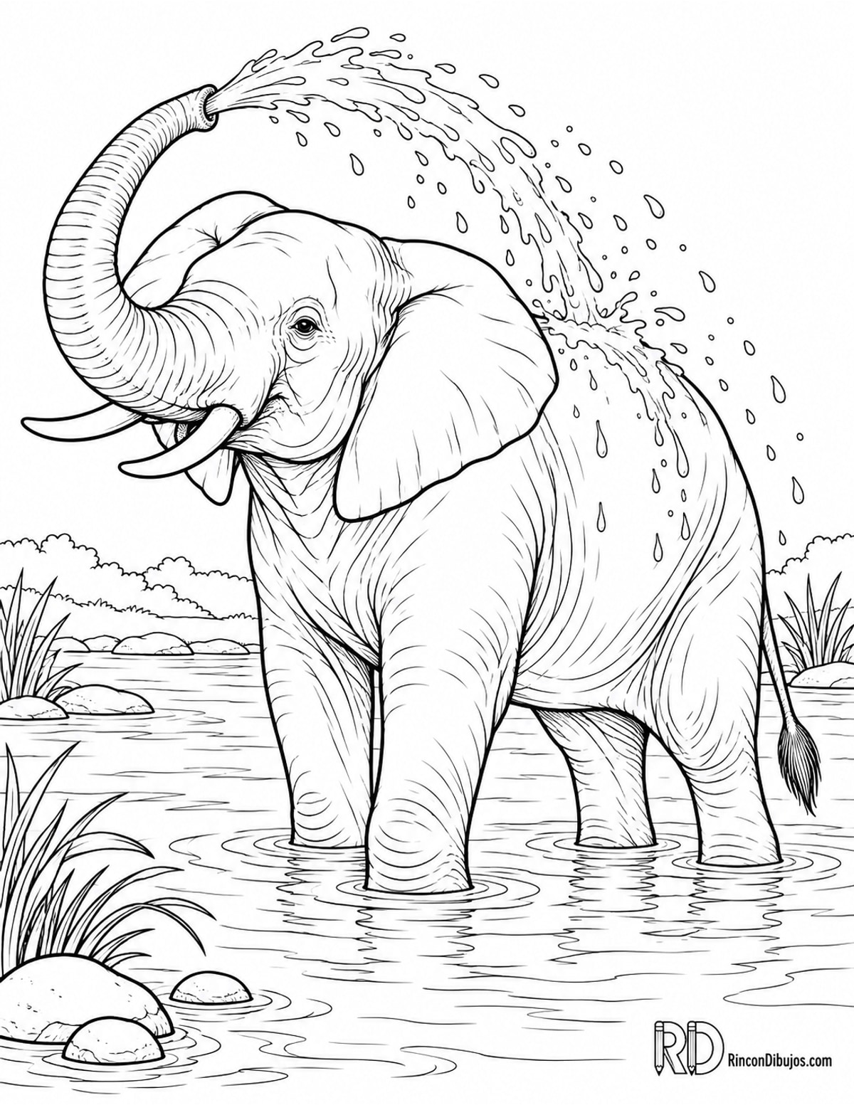 Dibujo de elefante bañándose para colorear Dibujo de elefante bañándose para colorear