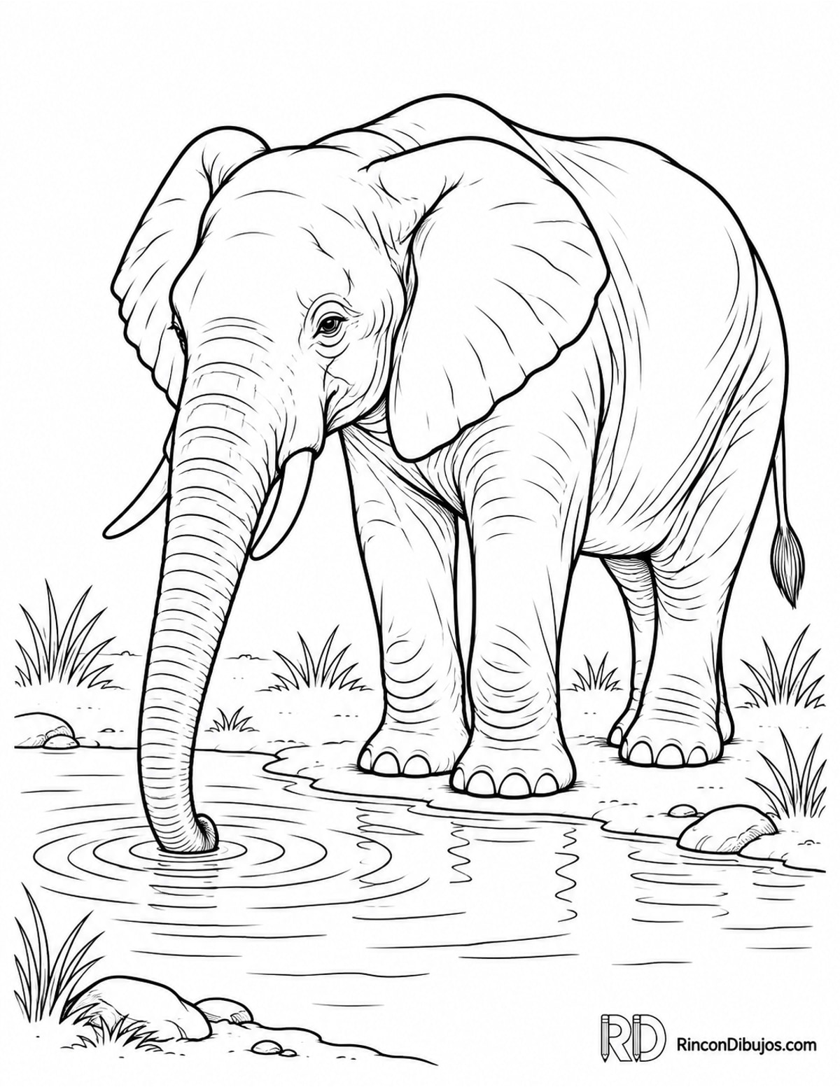 Dibujo de elefante bebiendo para colorear Dibujo de elefante bebiendo para colorear