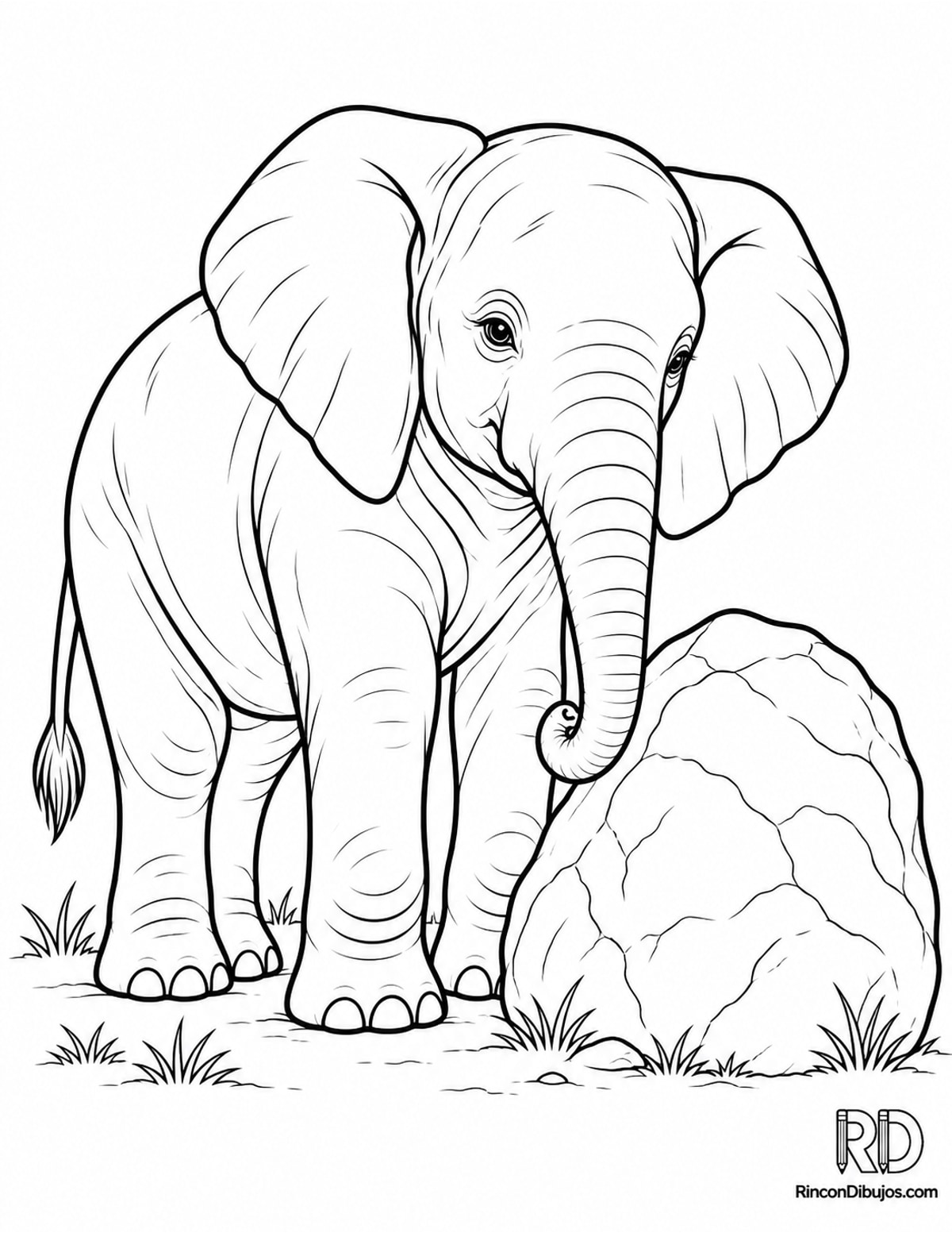 Dibujo de elefante joven para colorear Dibujo de elefante joven para colorear