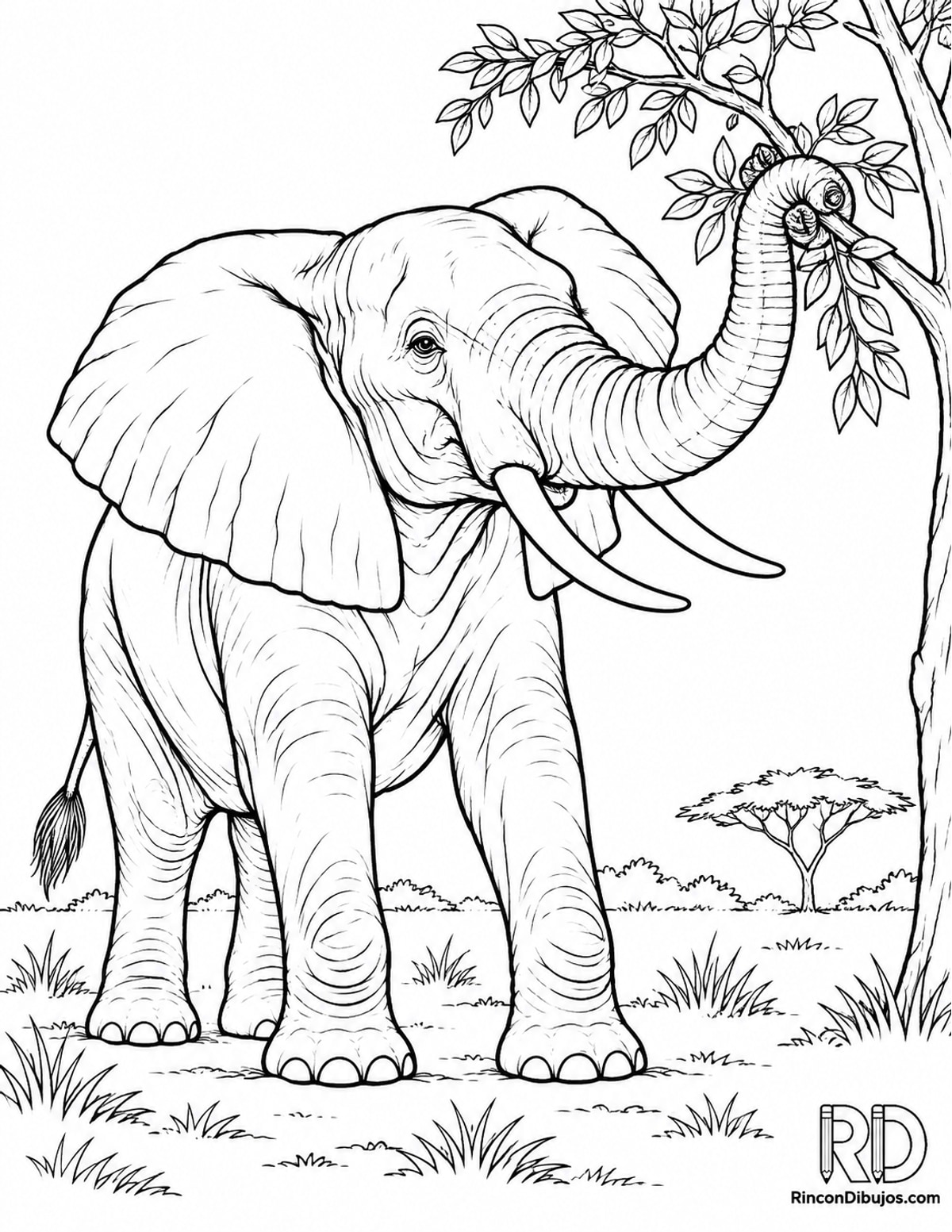 Dibujo de elefante moviendo rama para colorear Dibujo de elefante moviendo rama para colorear