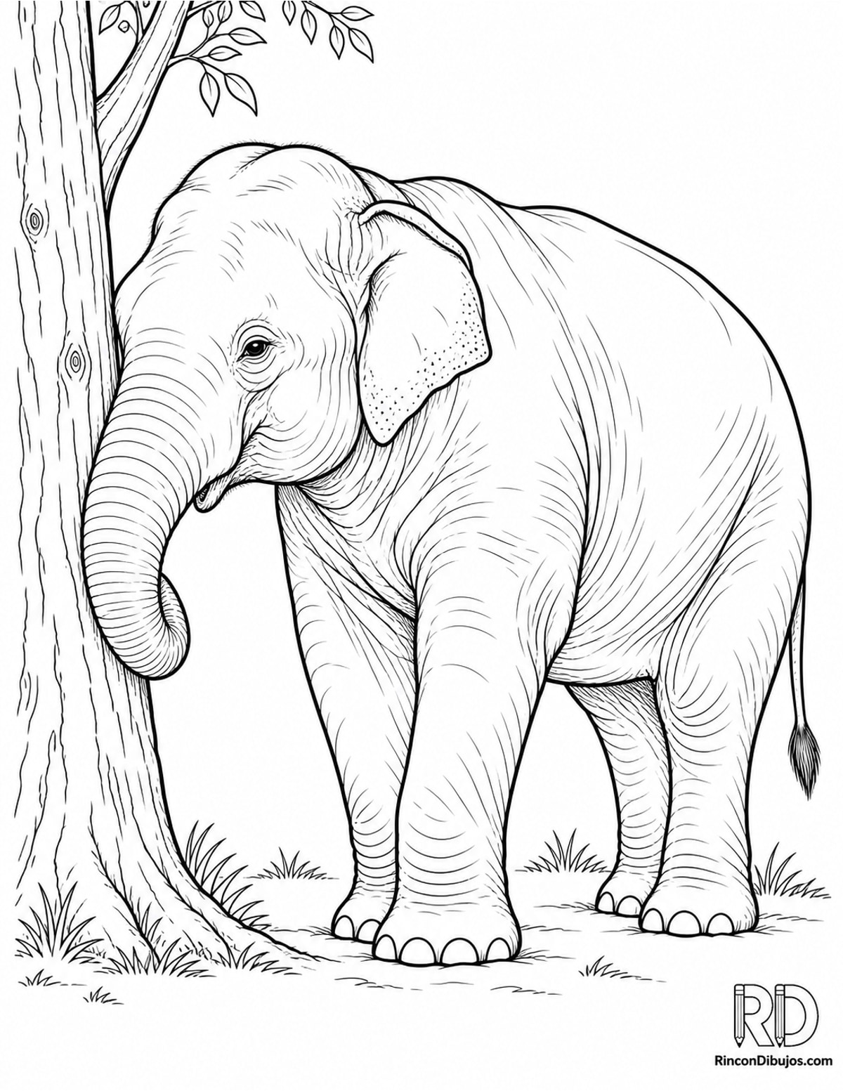 Dibujo de elefante para colorear Dibujo de elefante para colorear