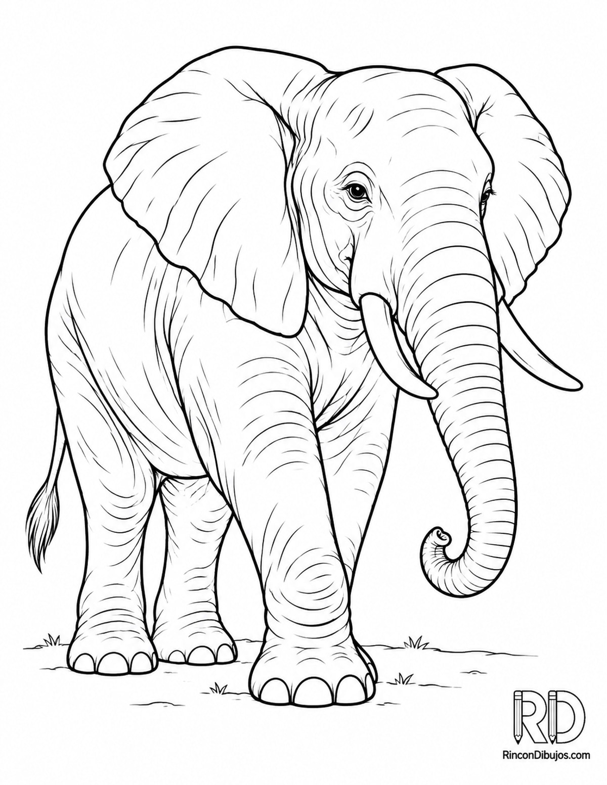 Dibujo de elefante tranquilo para colorear Dibujo de elefante tranquilo para colorear