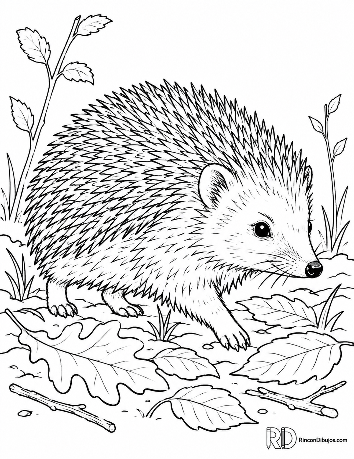 Dibujo de erizo caminando para colorear Dibujo de erizo caminando para colorear