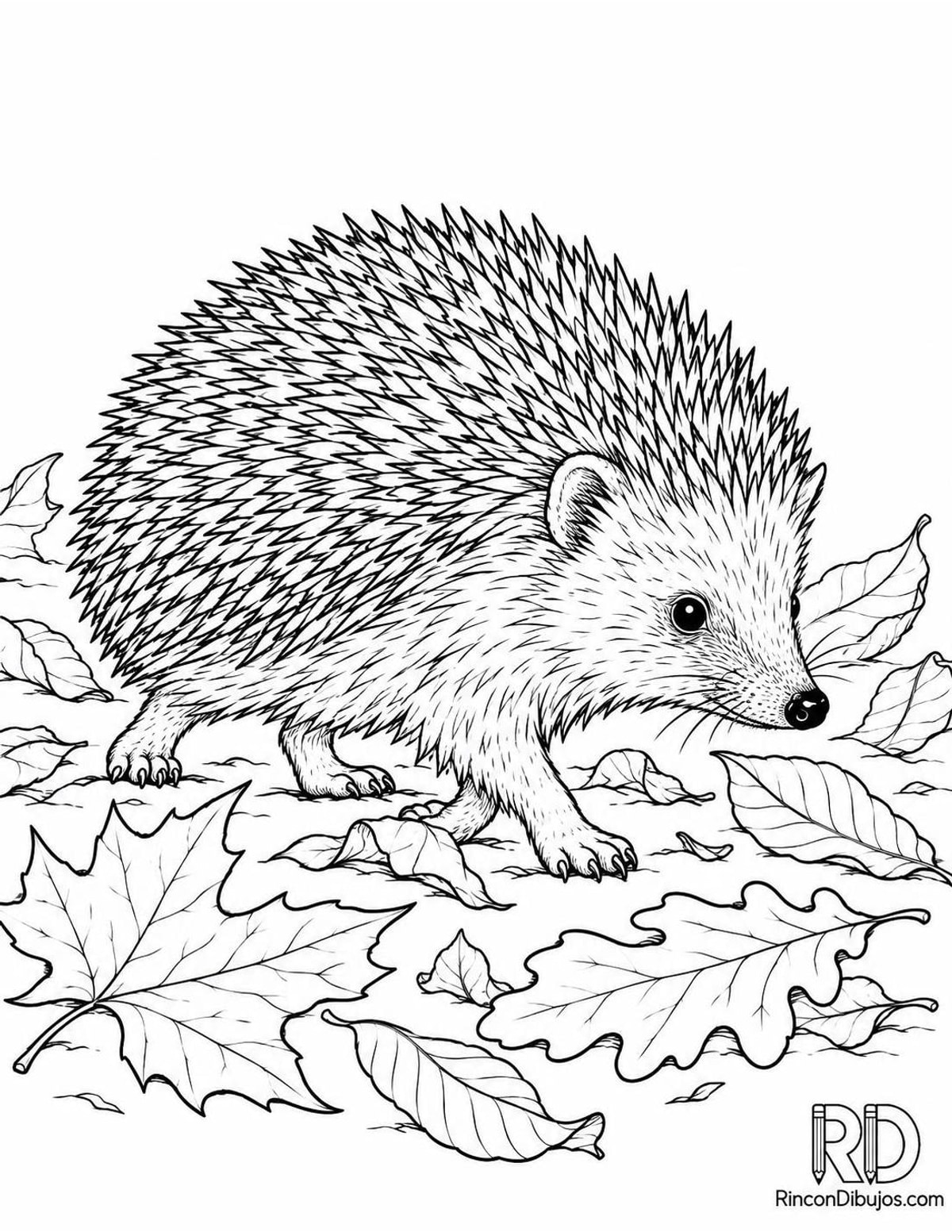 Dibujo de erizo entre hojas para colorear Dibujo de erizo entre hojas para colorear
