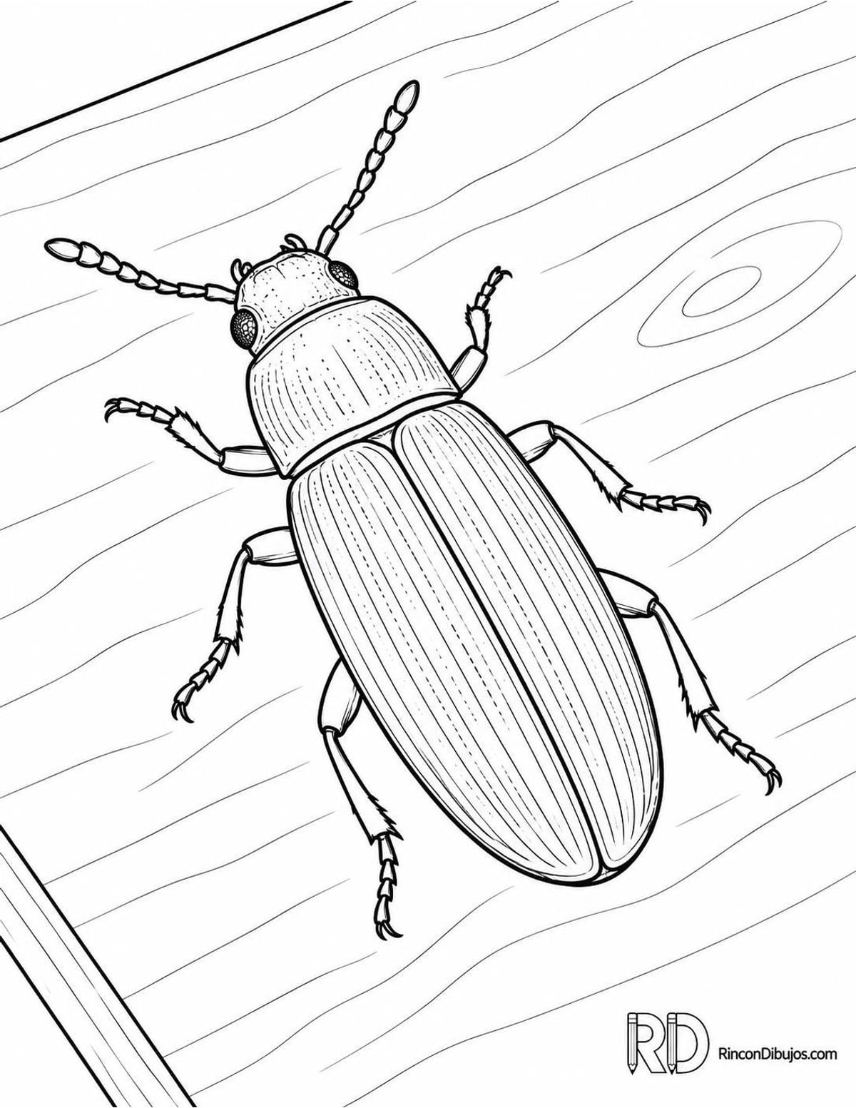 Dibujo de escarabajo de la harina para colorear