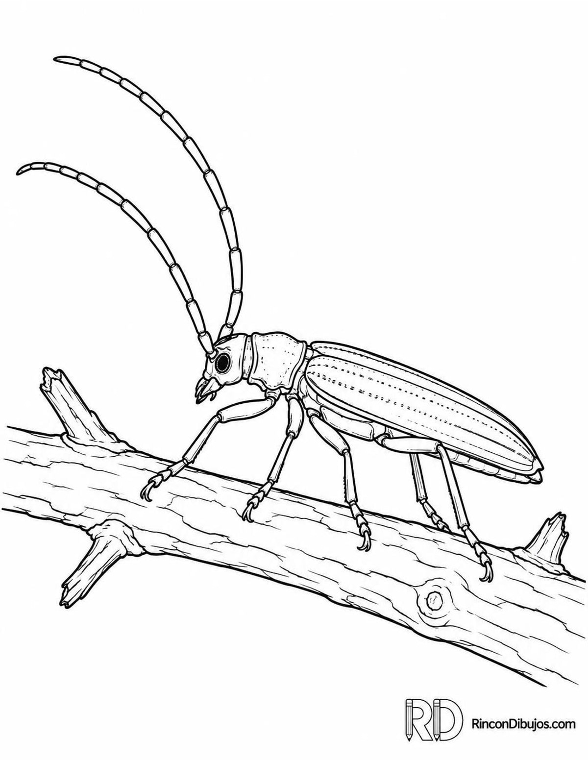 Dibujo de escarabajo longicornio para colorear