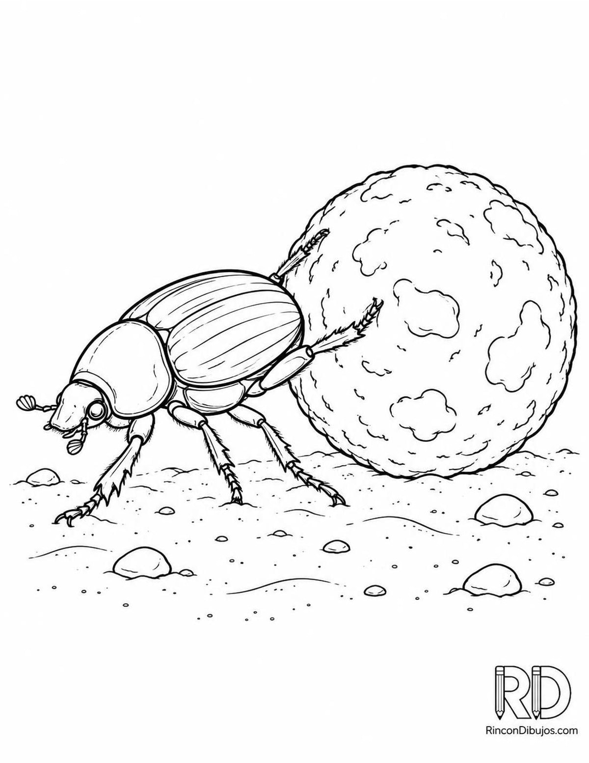 Dibujo de escarabajo pelotero para colorear