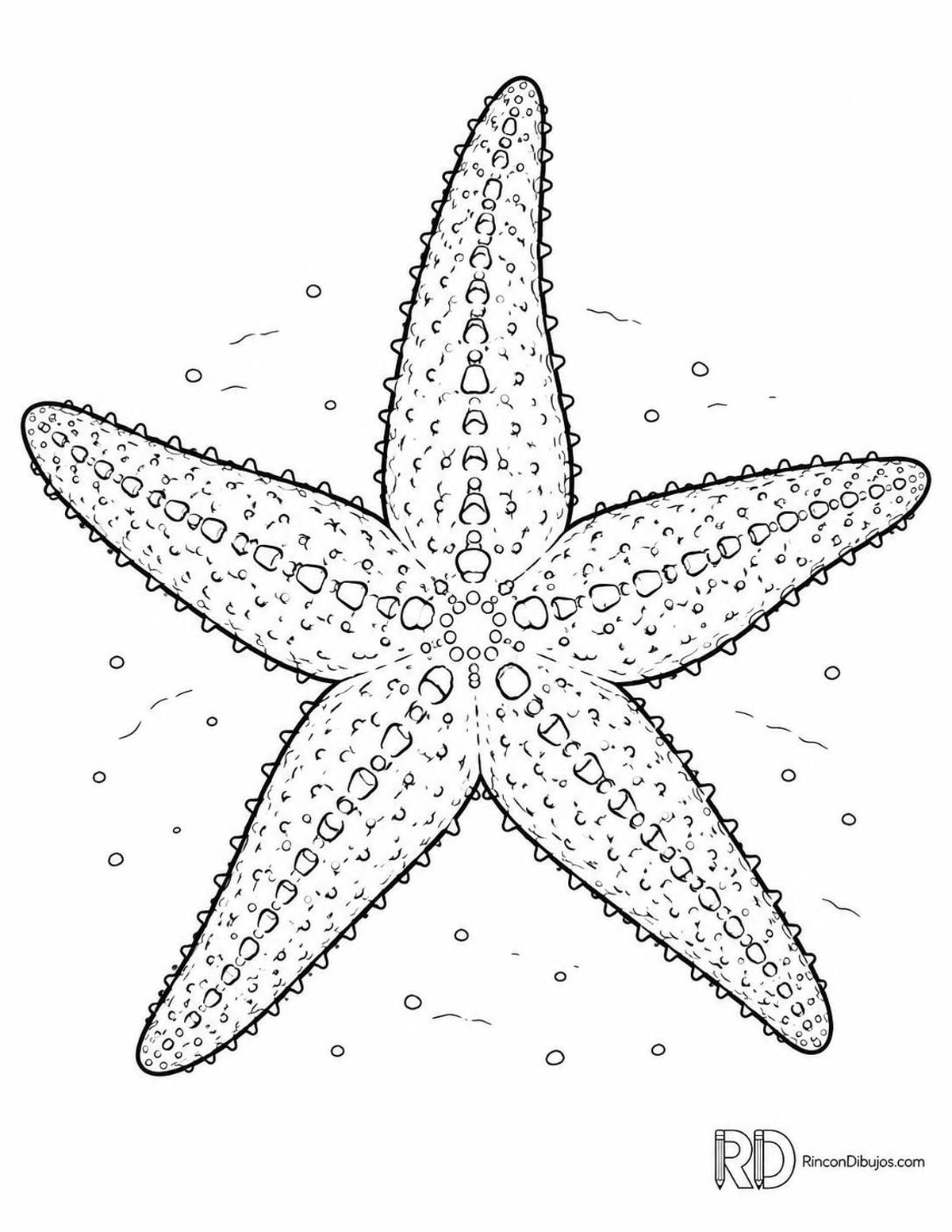 Dibujo de estrella de mar para colorear