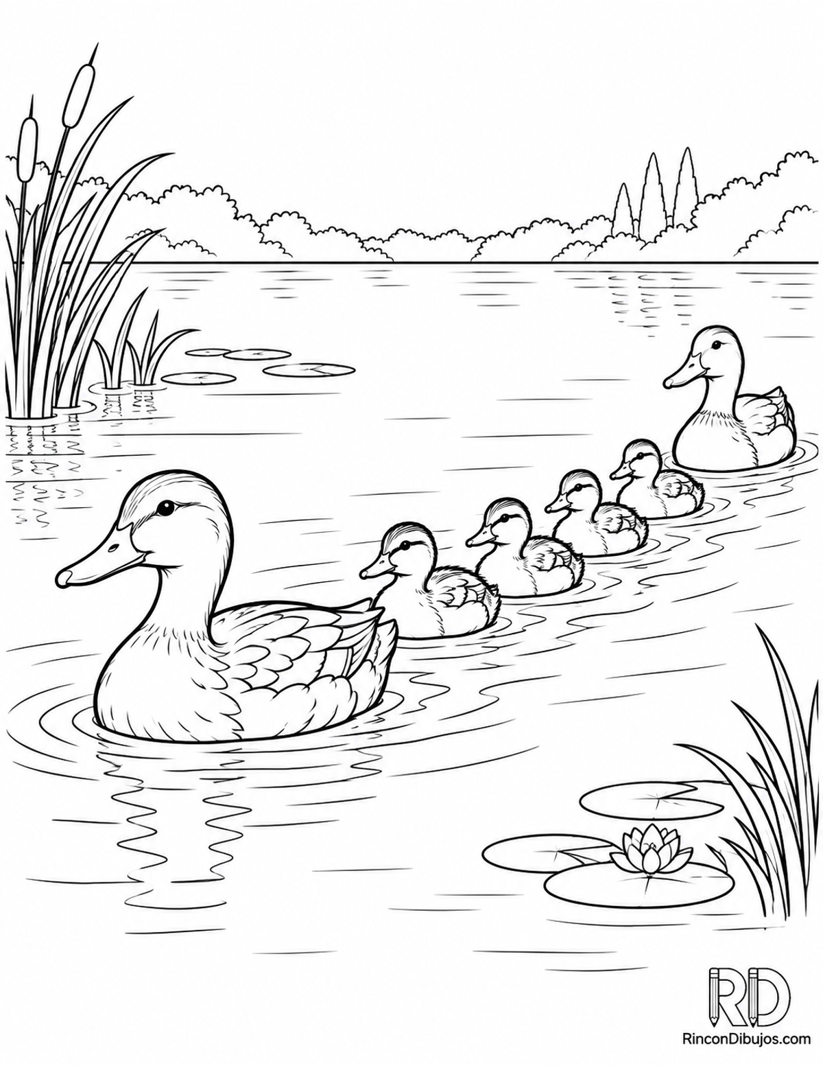 Dibujo de familia de patos para colorear Dibujo de familia de patos para colorear