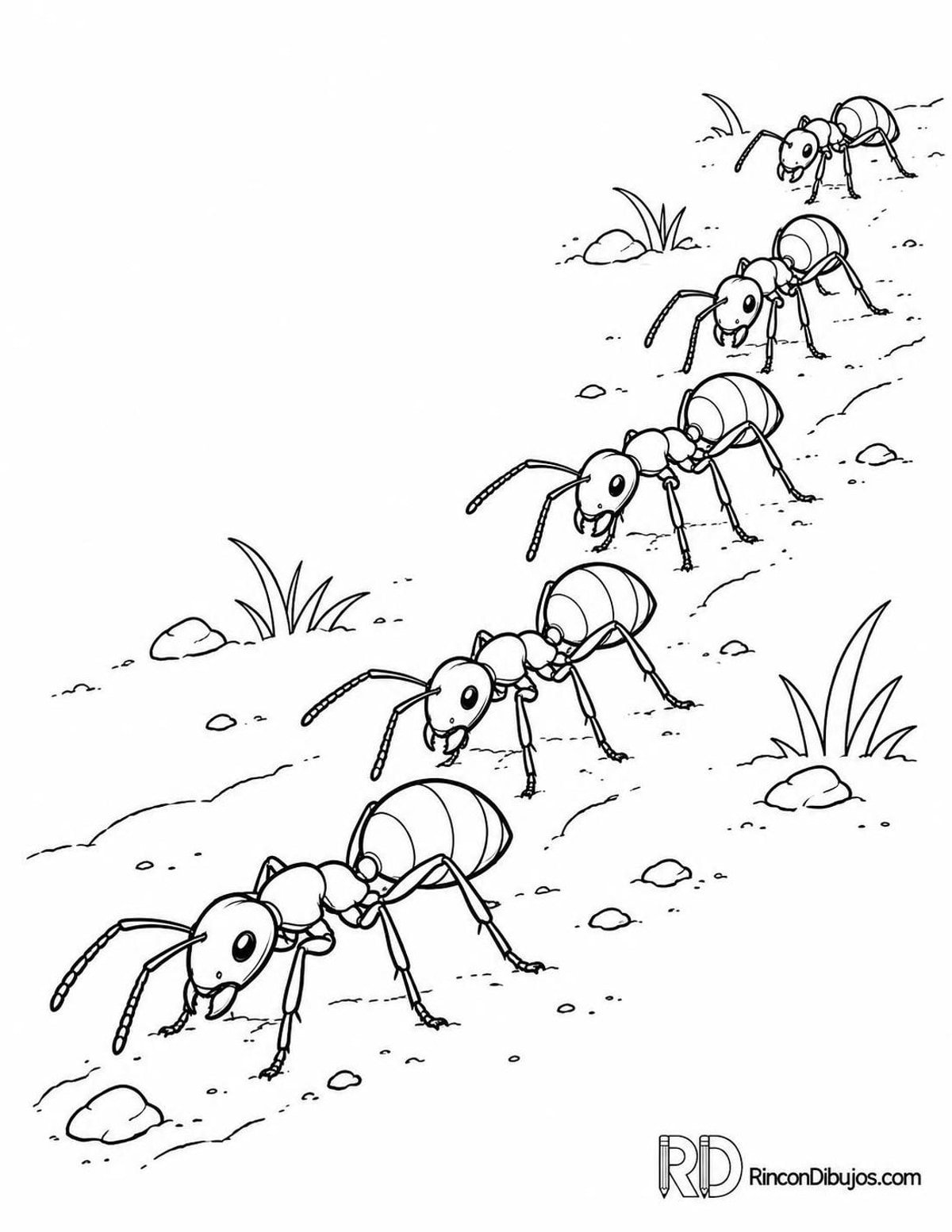 Dibujo de fila de hormigas para colorear Dibujo de fila de hormigas para colorear