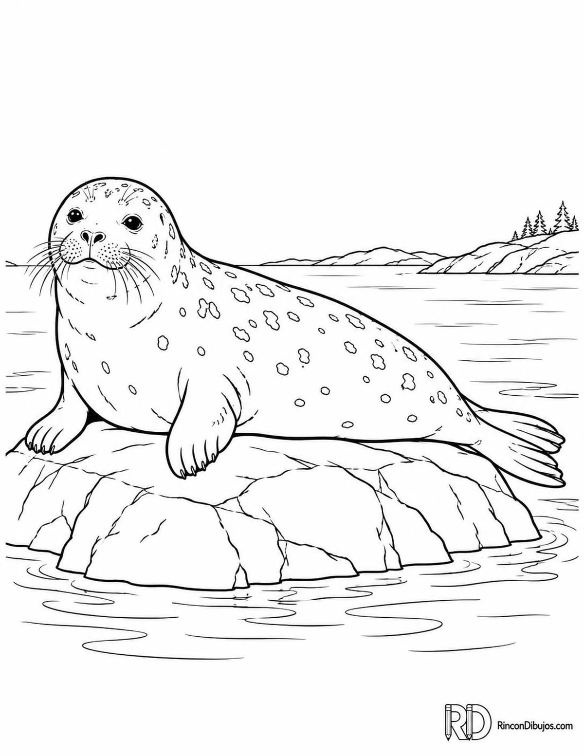 Dibujo de foca común para colorear Dibujo de foca común para colorear