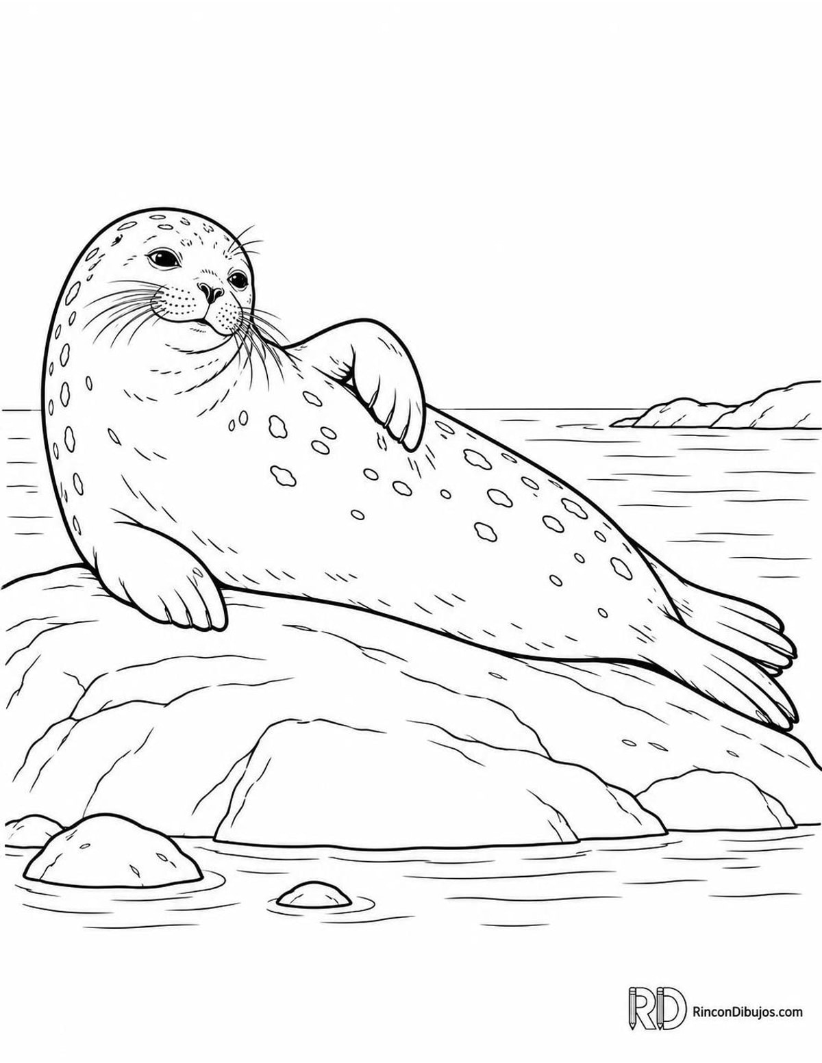 Dibujo de foca rascándose para colorear