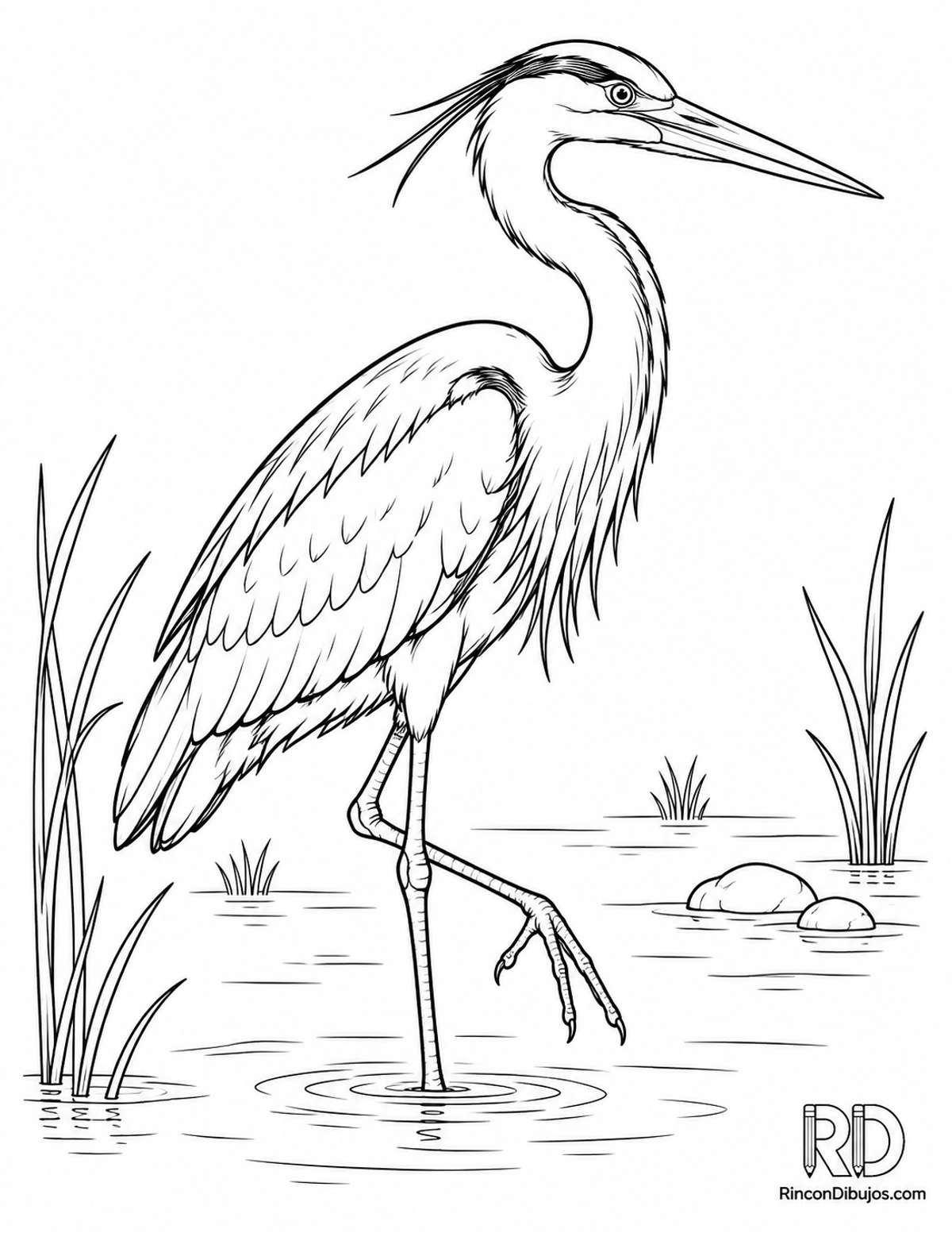 Dibujo de garza real para colorear Dibujo de garza real para colorear