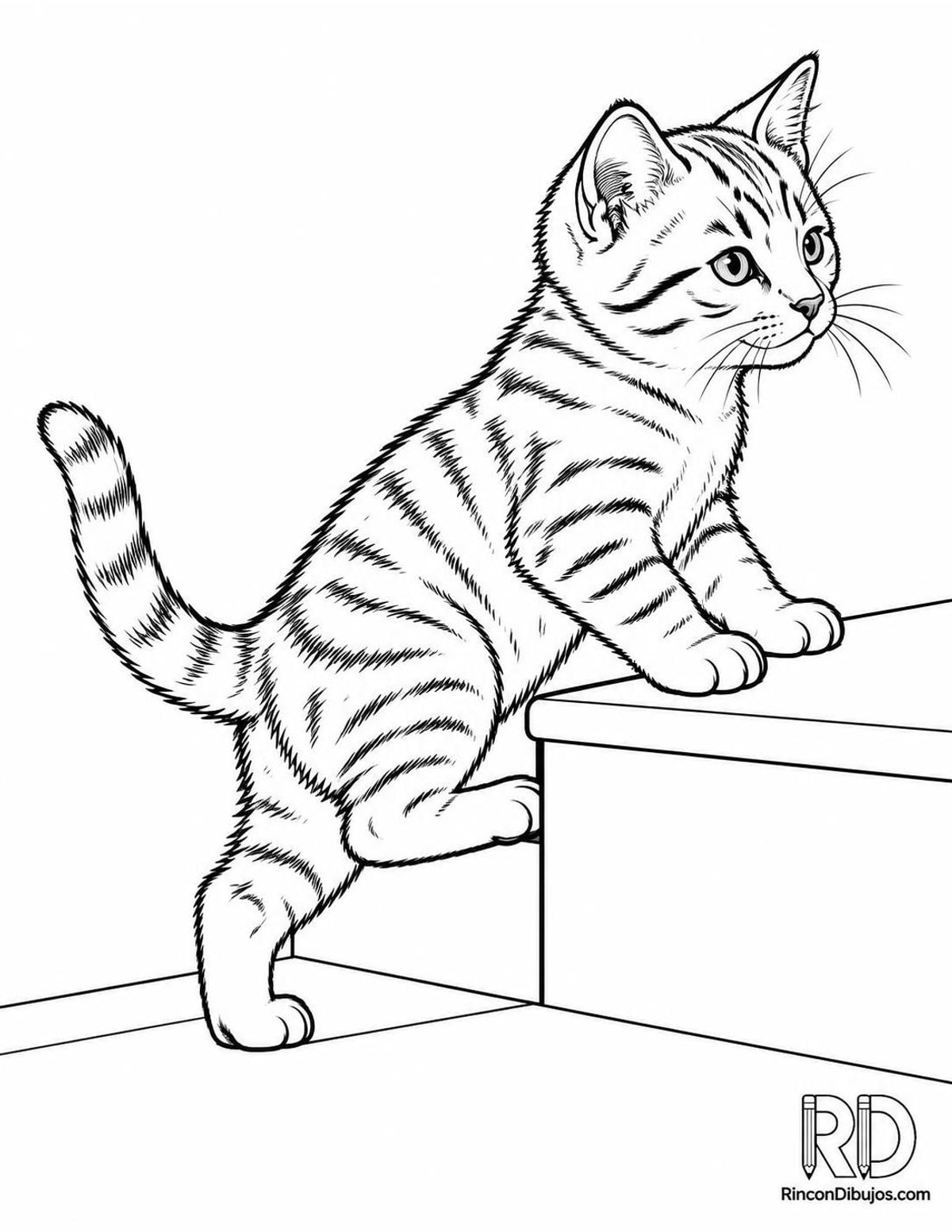 Dibujo de gatito atigrado escalón para colorear Dibujo de gatito atigrado escalón para colorear