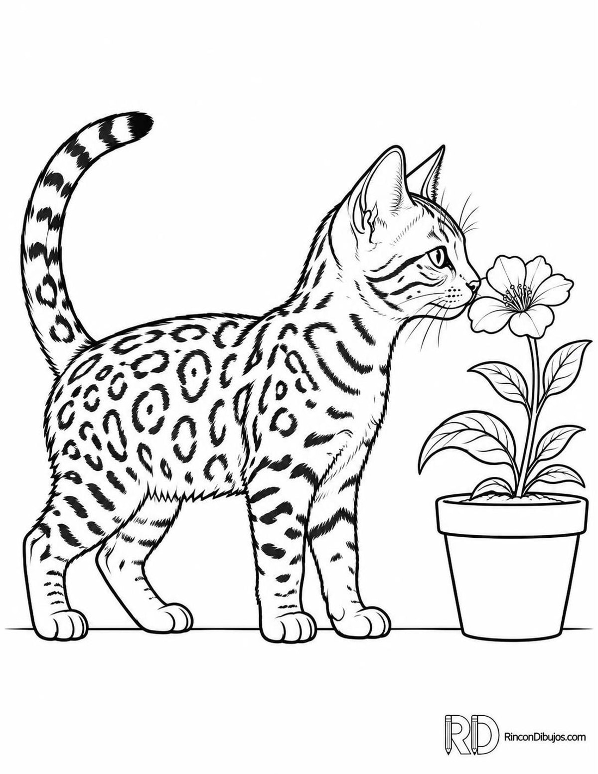 Dibujo de gatito bengalí flor para colorear Dibujo de gatito bengalí flor para colorear