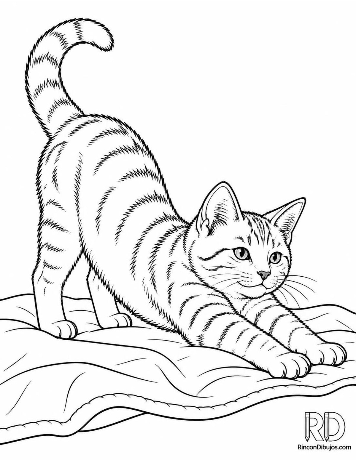 Dibujo de gatito estirándose para colorear Dibujo de gatito estirándose para colorear