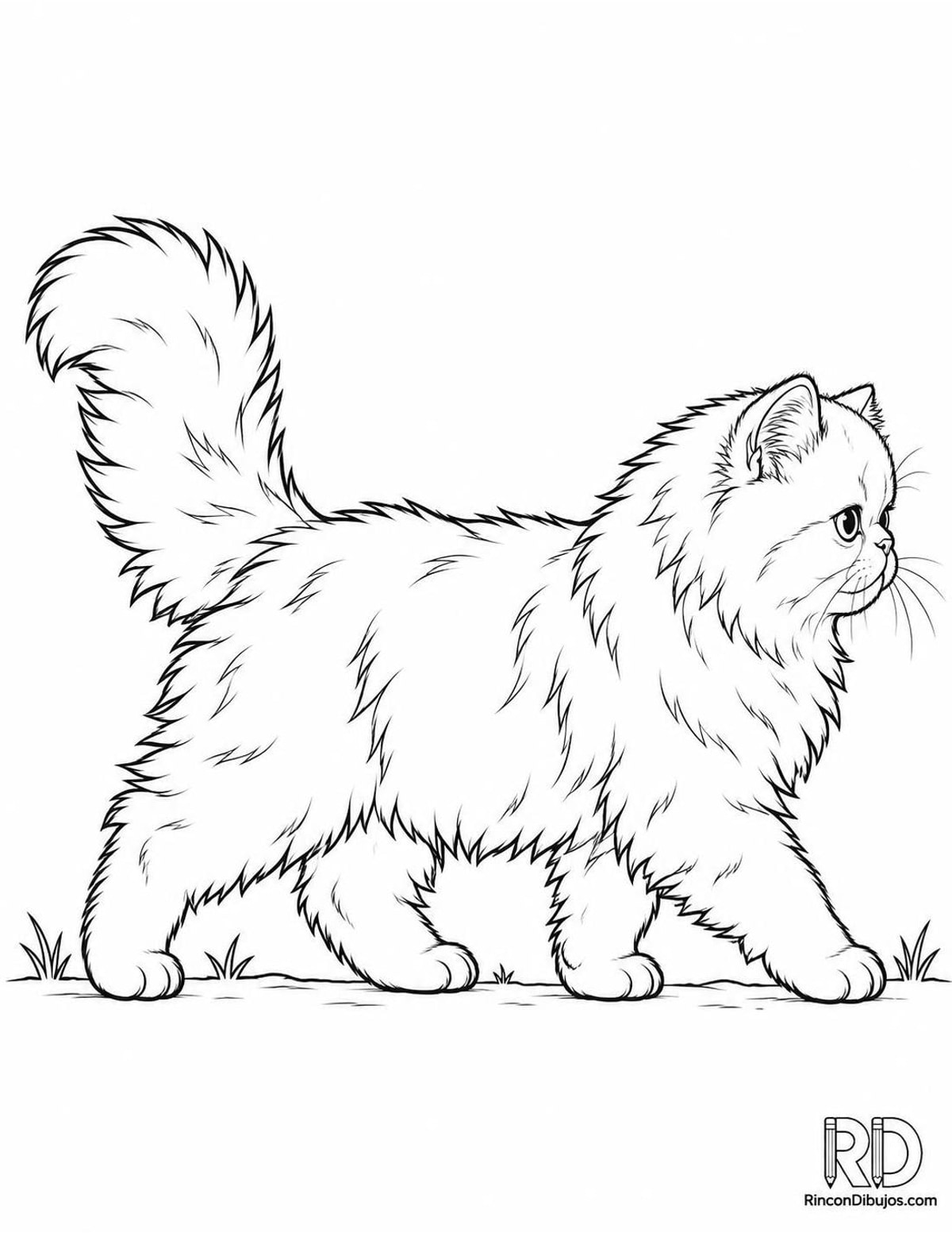 Dibujo de gatito persa caminando para colorear Dibujo de gatito persa caminando para colorear