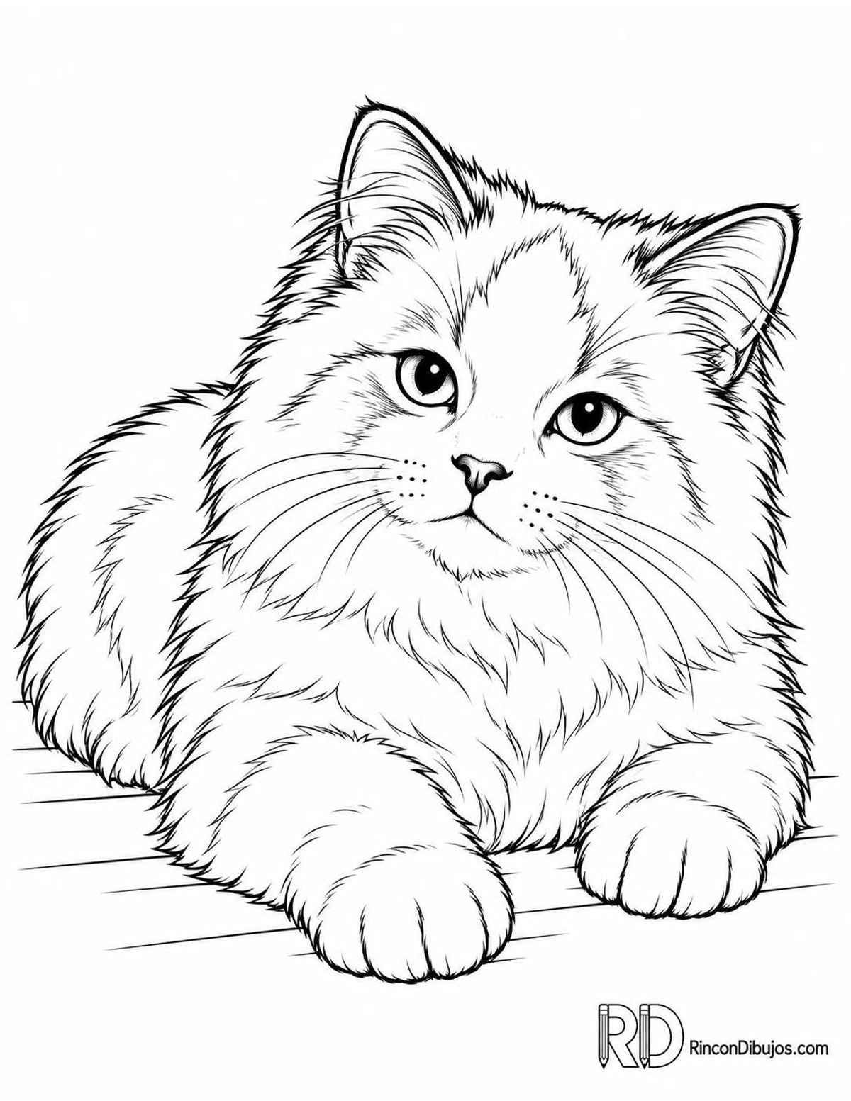Dibujo de gatito ragdoll tumbado para colorear Dibujo de gatito ragdoll tumbado para colorear