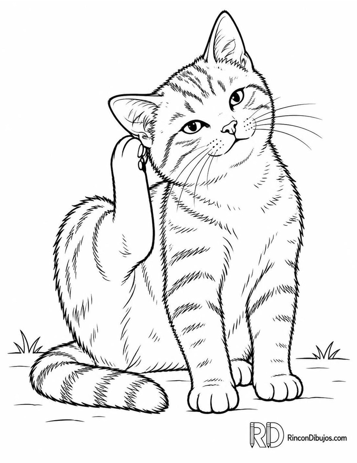 Dibujo de gatito rascándose para colorear Dibujo de gatito rascándose para colorear
