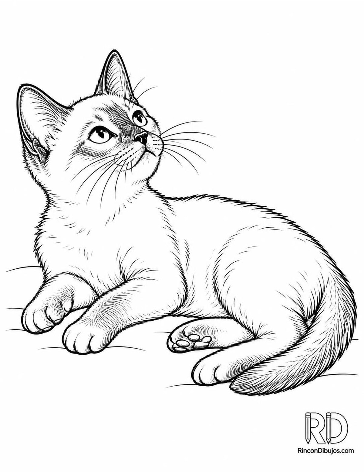 Dibujo de gatito siamés acostado para colorear Dibujo de gatito siamés acostado para colorear