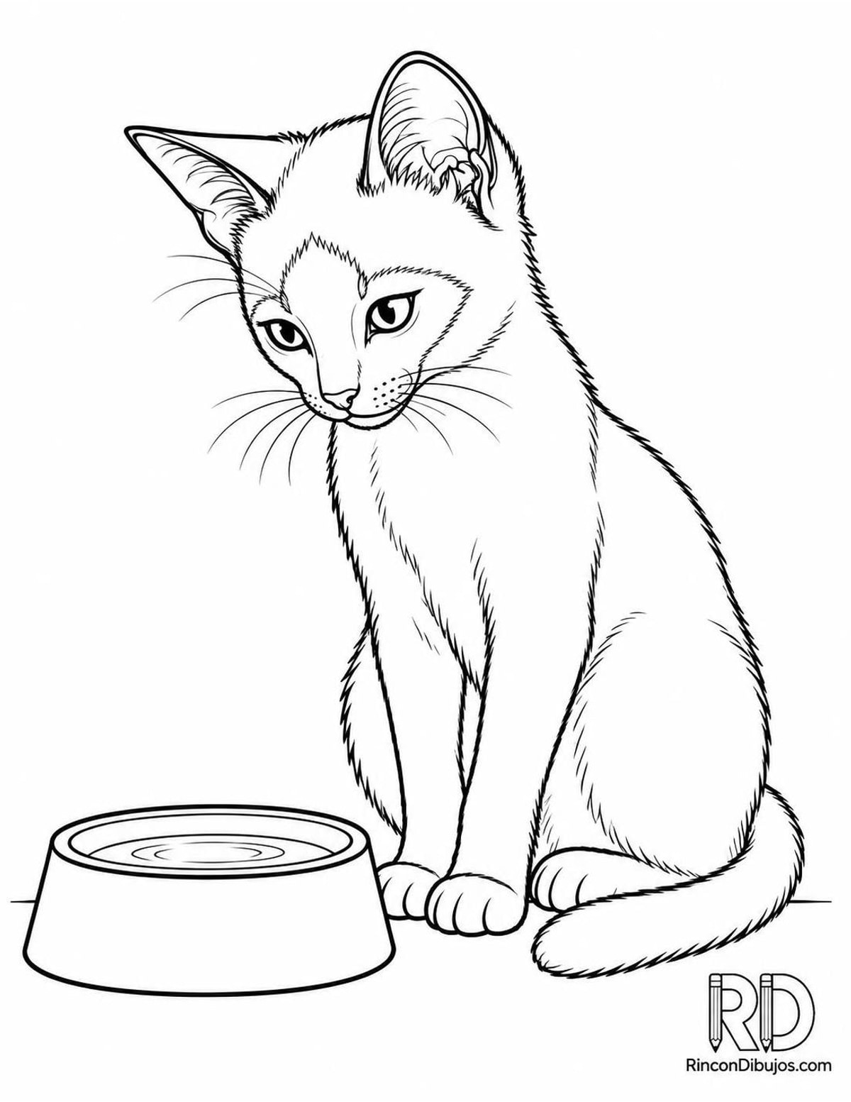 Dibujo de gatito siamés cuenco para colorear Dibujo de gatito siamés cuenco para colorear