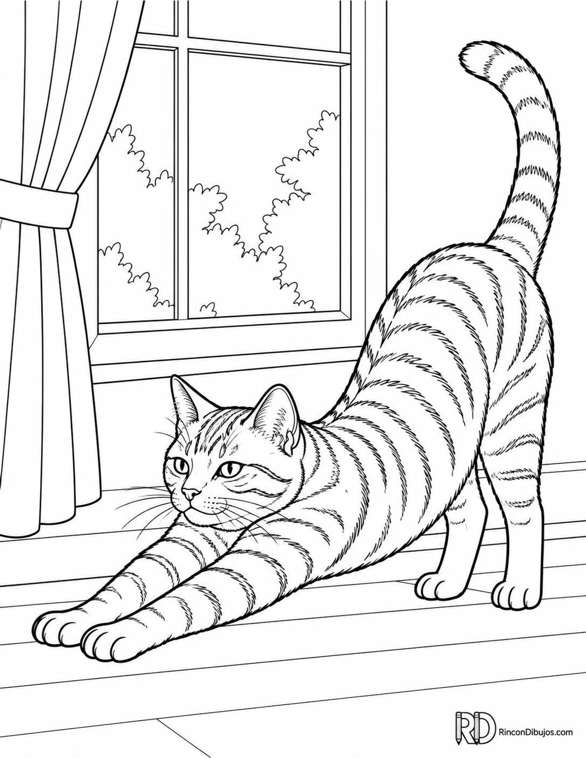 Dibujo de gato atigrado para colorear