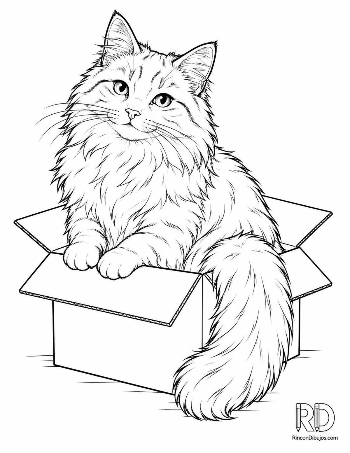Dibujo de gato en caja para colorear