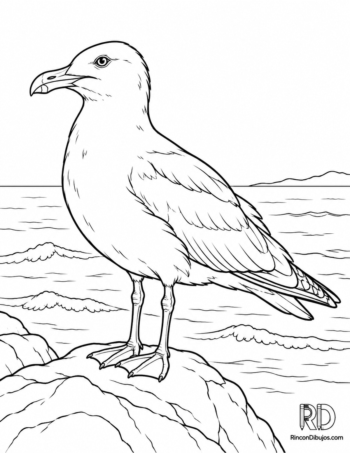 Dibujo de gaviota argéntea para colorear Dibujo de gaviota argéntea para colorear