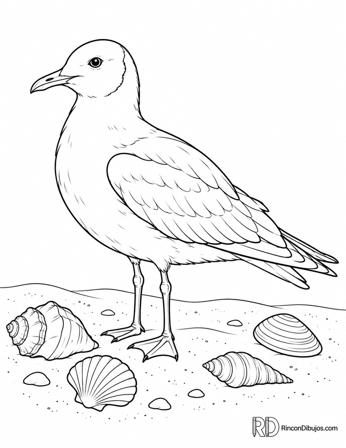 Dibujo de gaviota cabecinegra para colorear Dibujo de gaviota cabecinegra para colorear
