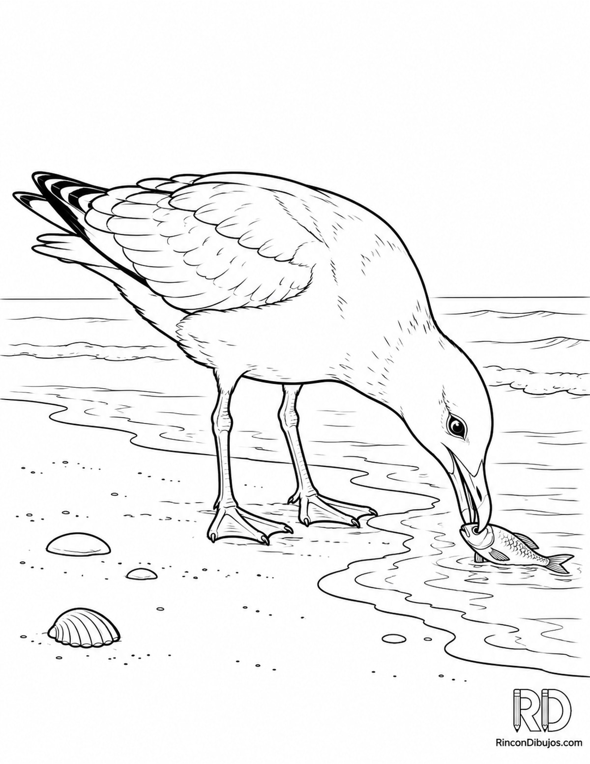 Dibujo de gaviota con pez para colorear Dibujo de gaviota con pez para colorear
