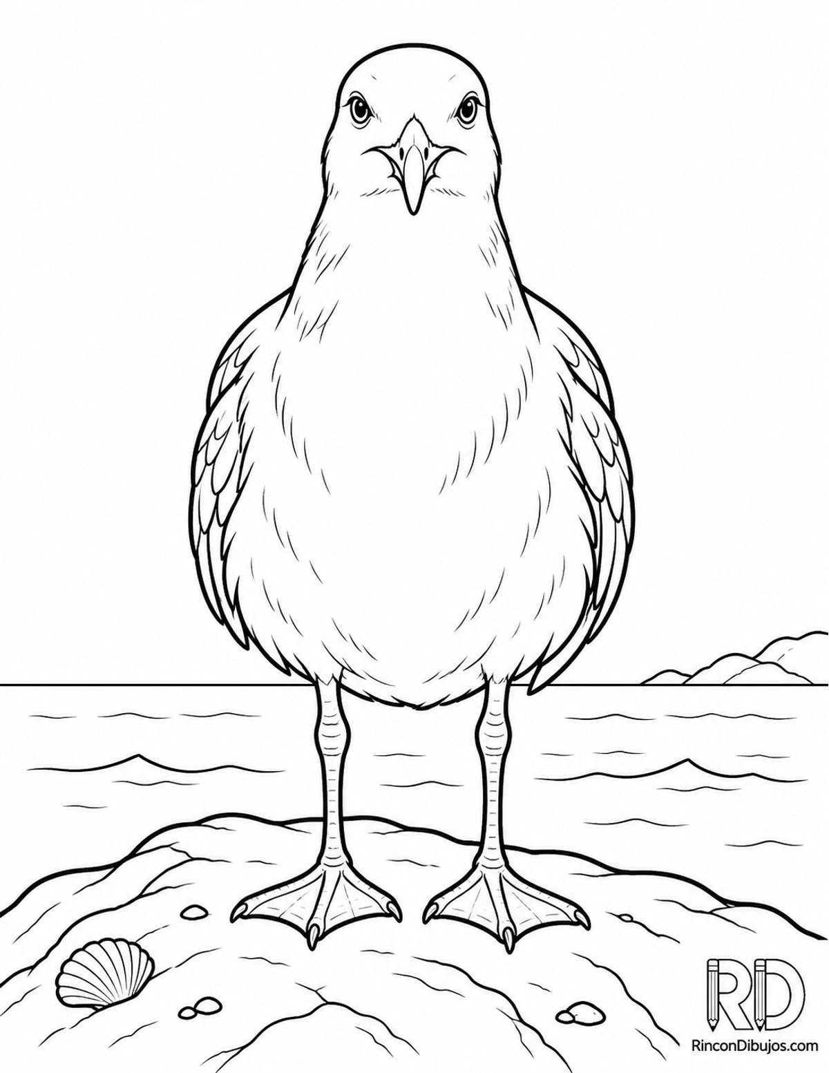 Dibujo de gaviota frente para colorear Dibujo de gaviota frente para colorear