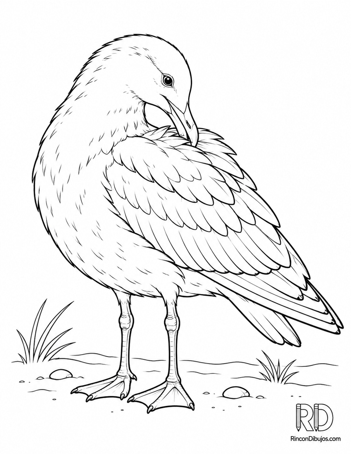 Dibujo de gaviota limpiándose para colorear Dibujo de gaviota limpiándose para colorear