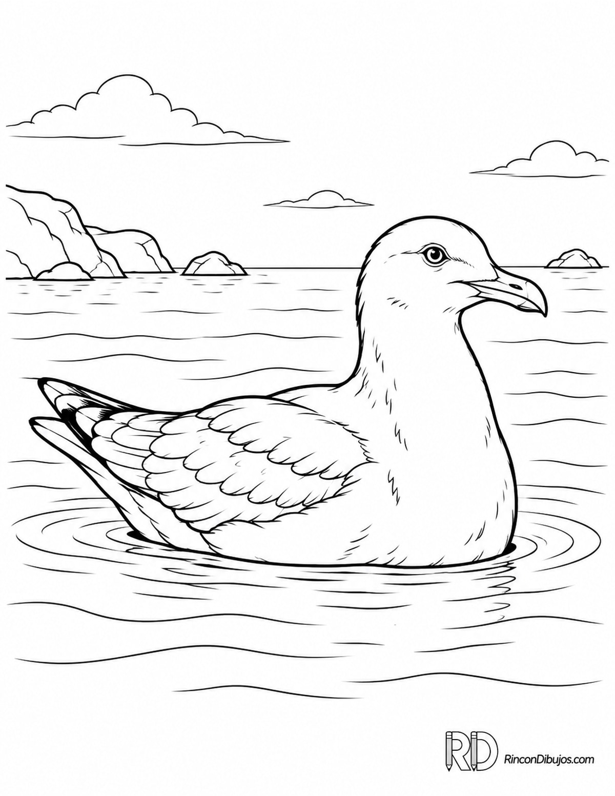 Dibujo de gaviota nadando para colorear Dibujo de gaviota nadando para colorear
