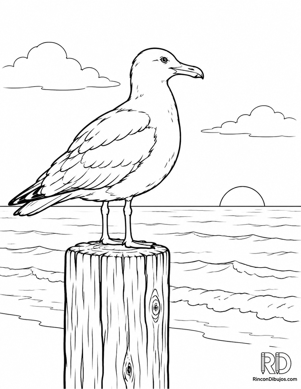 Dibujo de gaviota para colorear Dibujo de gaviota para colorear
