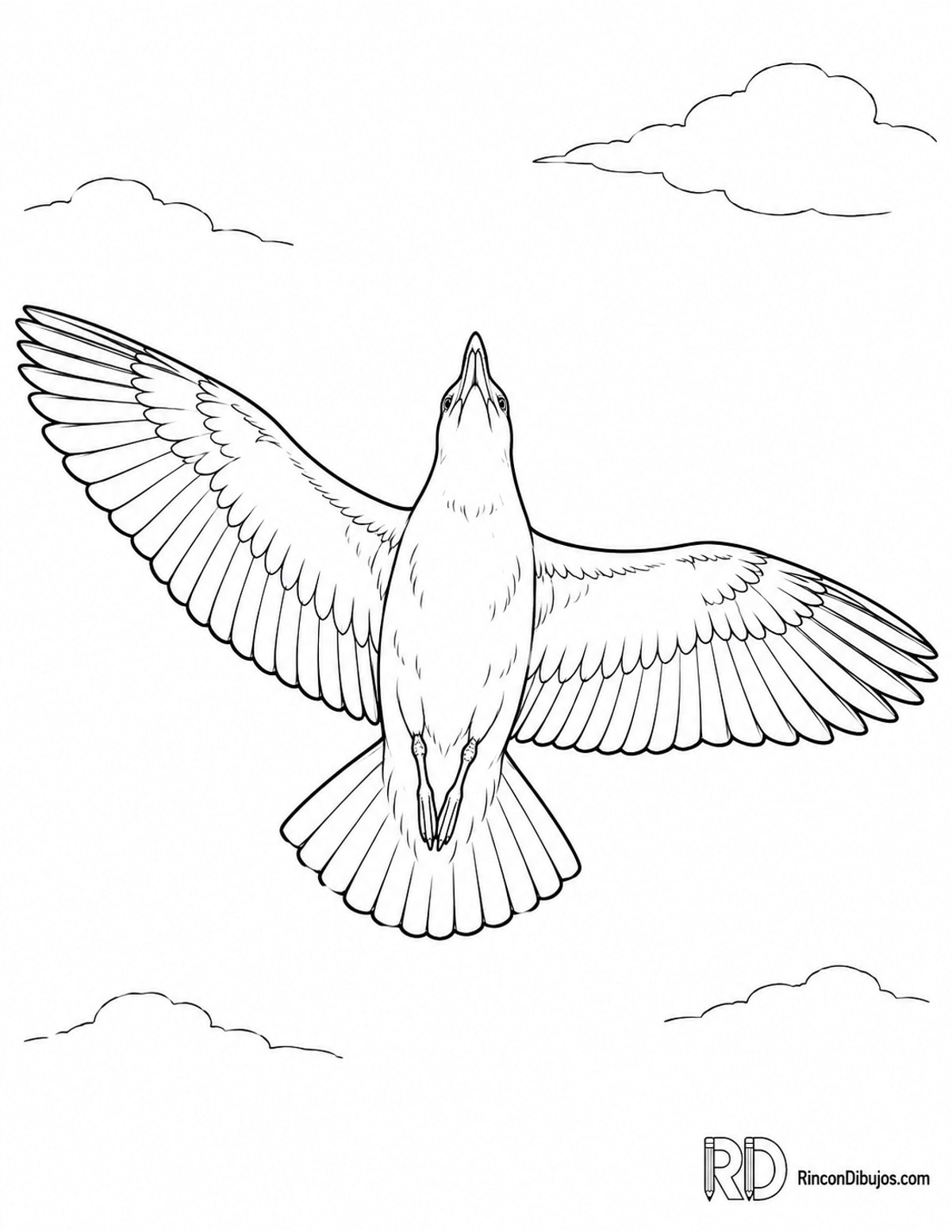 Dibujo de gaviota planeando para colorear Dibujo de gaviota planeando para colorear